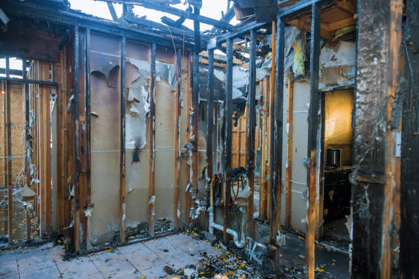 Professional Fire Damage Removal technician working in Louisville, OH