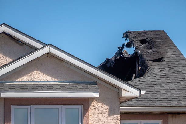 Top rated local Fire Damage Removal specialists in Louisville, OH